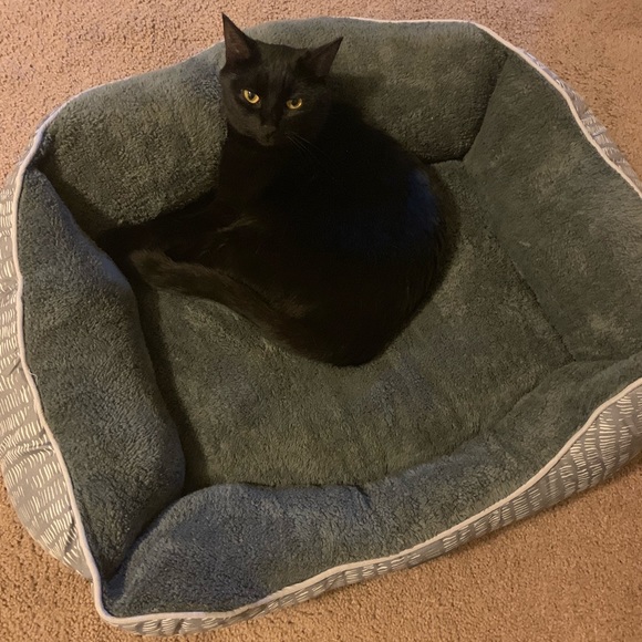 Meet your Posher, Alex - Picture 6 of 8